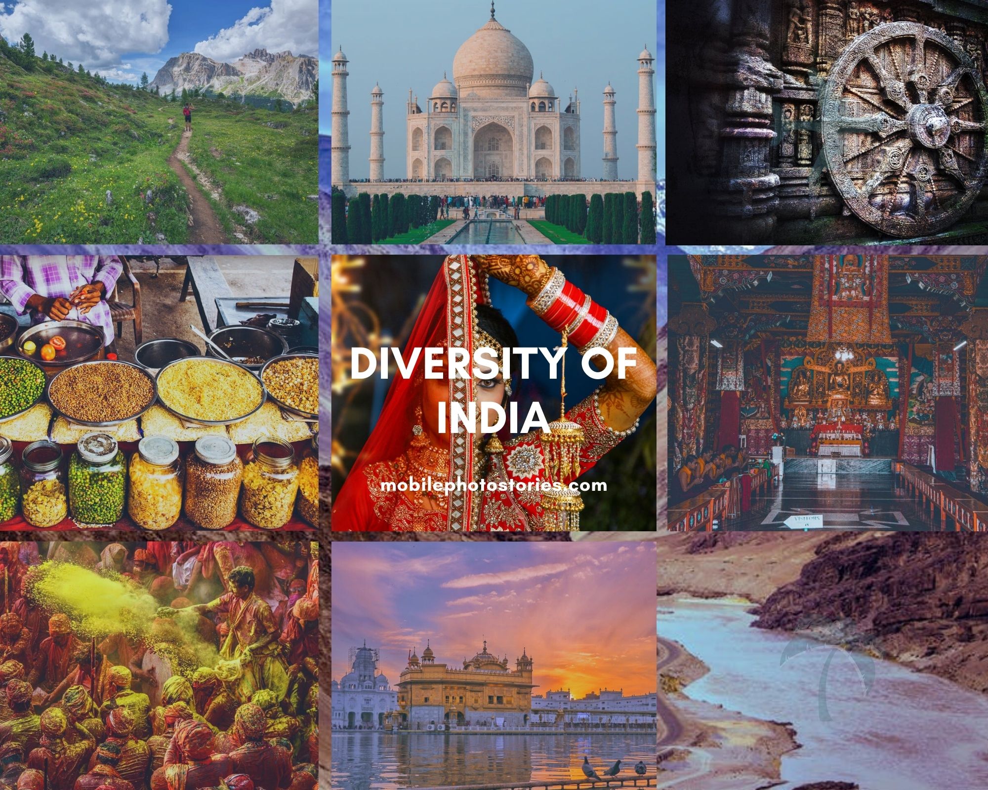 india and diversity